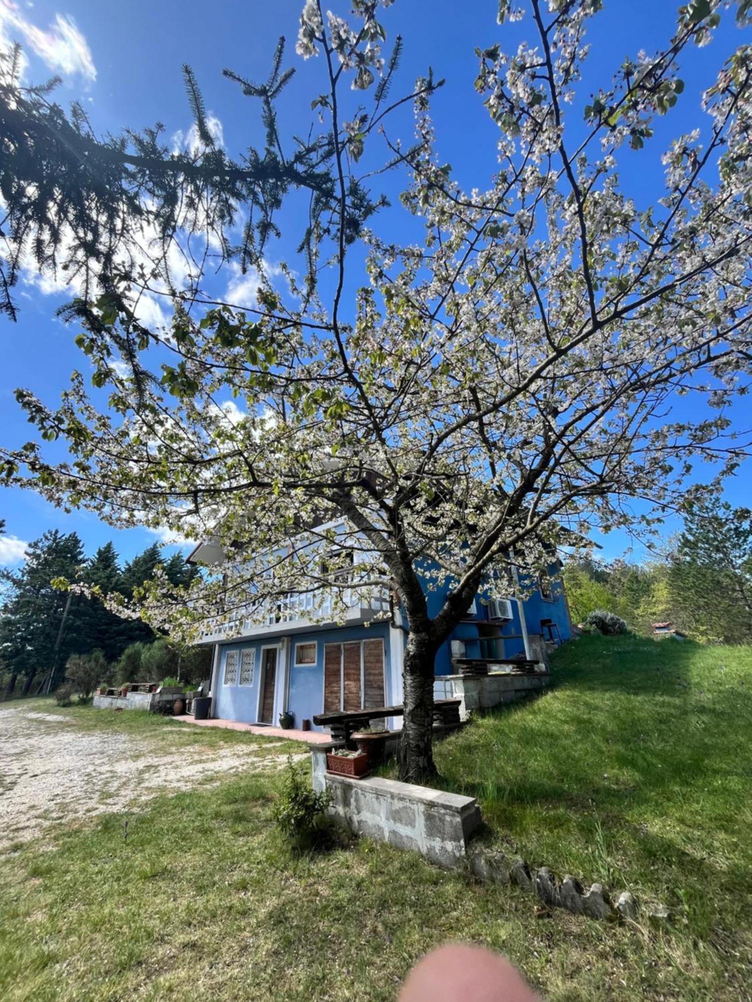 Chalet Ricciano Foligno Extérieur photo